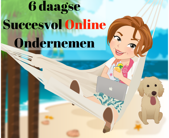 6 daagseSuccesvol Online Ondernemen(1)